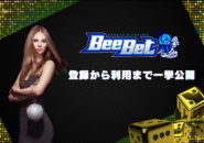 BeeBet登録から利用まで一挙公開